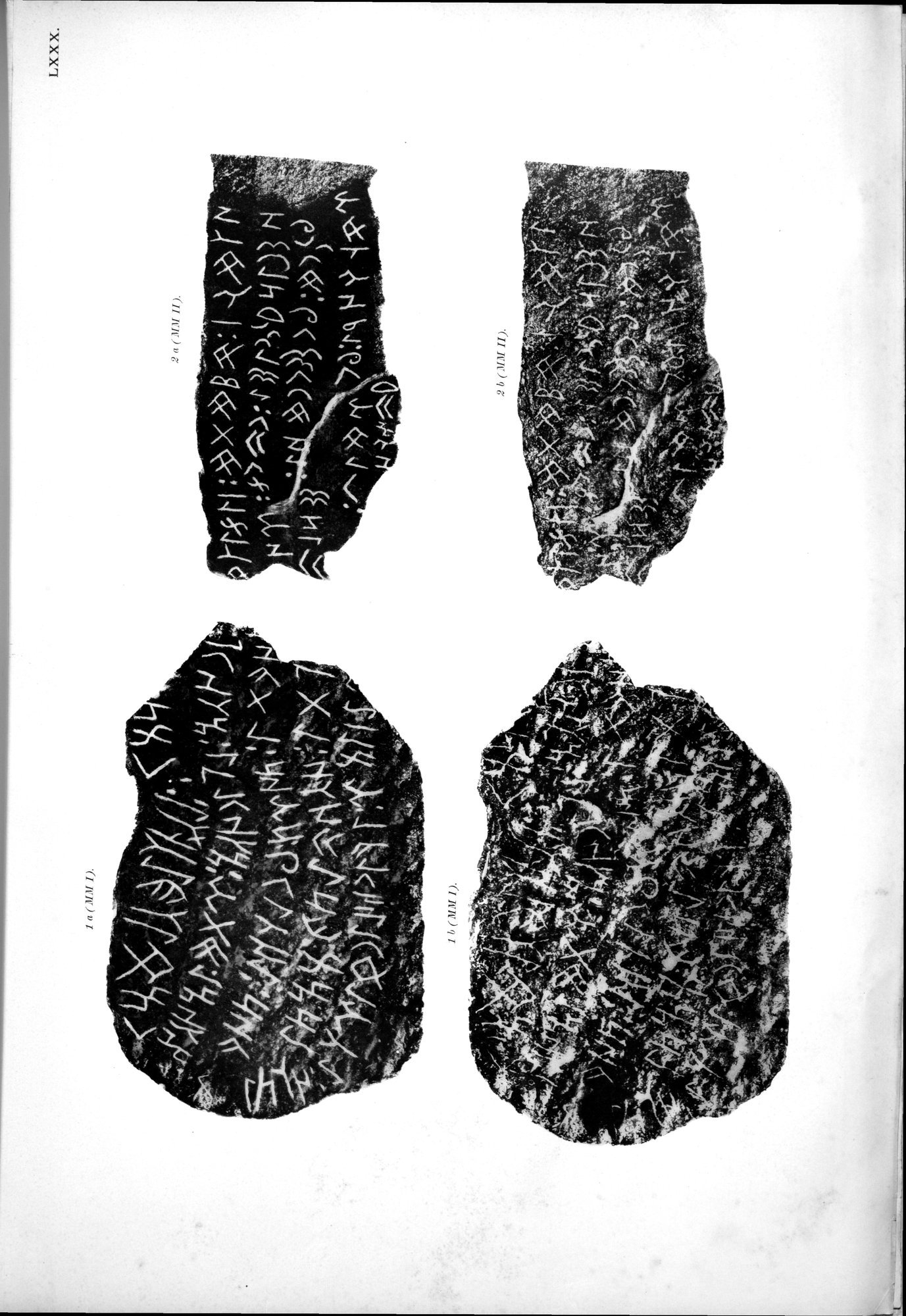 Atlas der Alterthümer der Mongolei : vol.1 / 209 ページ（白黒高解像度画像）