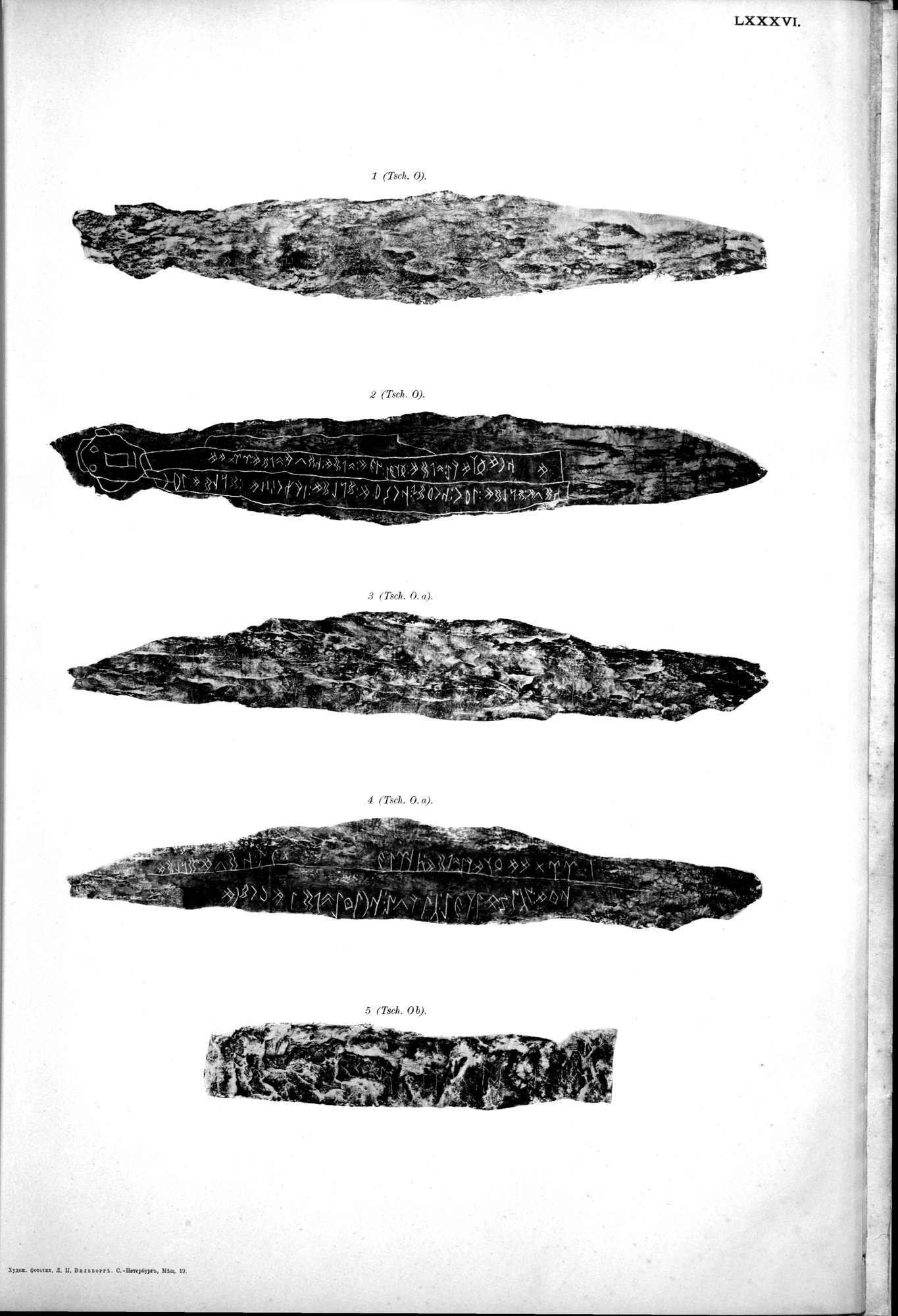 Atlas der Alterthümer der Mongolei : vol.1 / 239 ページ（白黒高解像度画像）