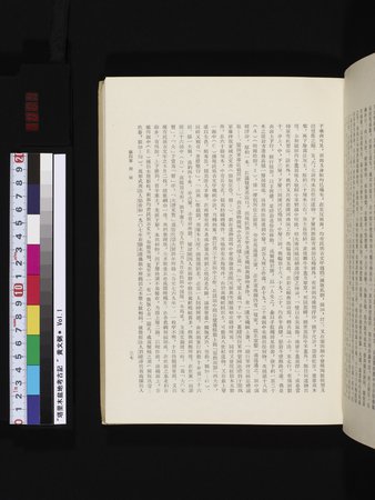 塔里木盆地考古記 : vol.1 : Page 61