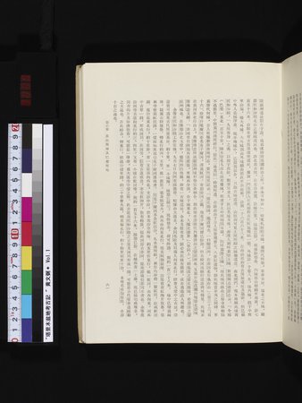 塔里木盆地考古記 : vol.1 : Page 85