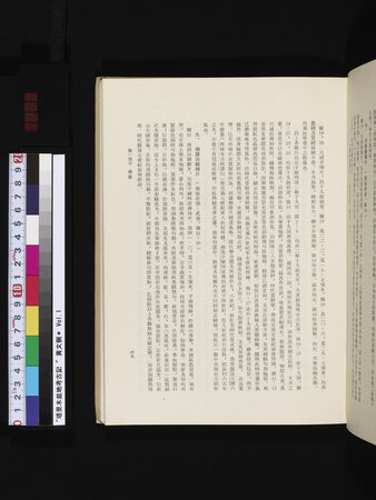 塔里木盆地考古記 : vol.1 : Page 133