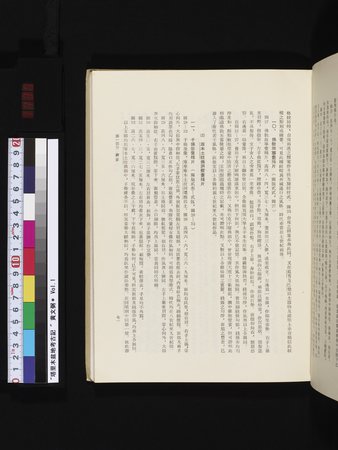塔里木盆地考古記 : vol.1 : Page 135