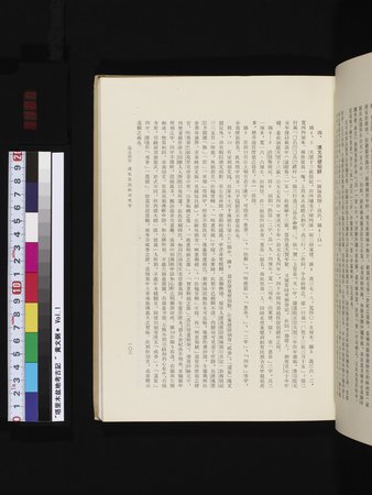 塔里木盆地考古記 : vol.1 : Page 167
