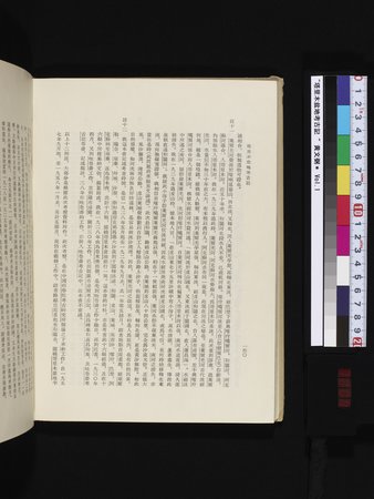 塔里木盆地考古記 : vol.1 : Page 204