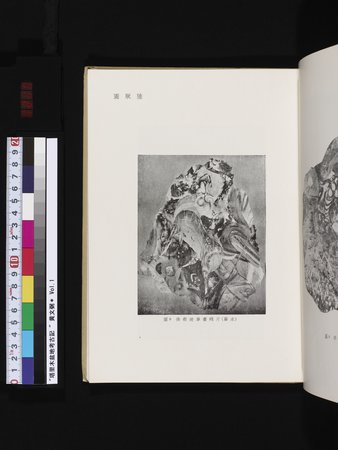 塔里木盆地考古記 : vol.1 : Page 215