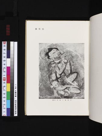 塔里木盆地考古記 : vol.1 : Page 221
