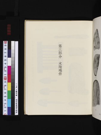 塔里木盆地考古記 : vol.1 : Page 271