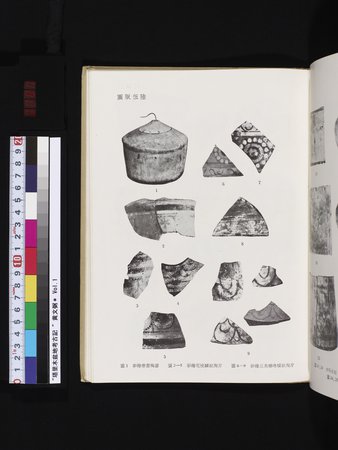 塔里木盆地考古記 : vol.1 : Page 281