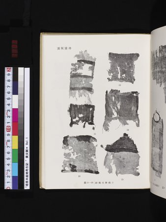 塔里木盆地考古記 : vol.1 : Page 293