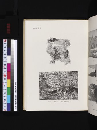 塔里木盆地考古記 : vol.1 : Page 295