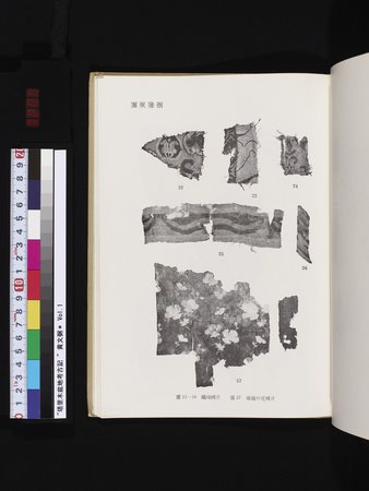 塔里木盆地考古記 : vol.1 : Page 299