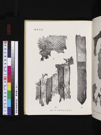 塔里木盆地考古記 : vol.1 : Page 301
