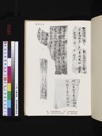 塔里木盆地考古記 : vol.1 : Page 305