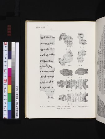 塔里木盆地考古記 : vol.1 : Page 311