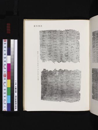 塔里木盆地考古記 : vol.1 : Page 323