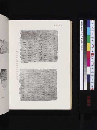 塔里木盆地考古記 : vol.1 : Page 324