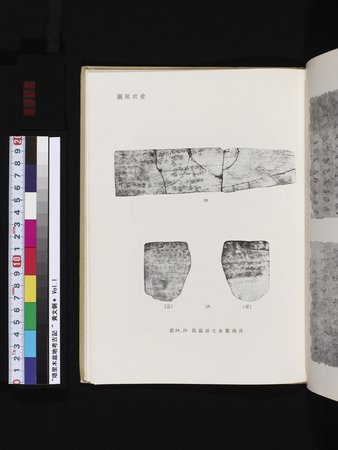 塔里木盆地考古記 : vol.1 : Page 325