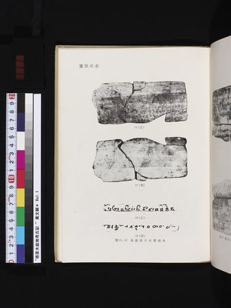 塔里木盆地考古記 : vol.1 : Page 327