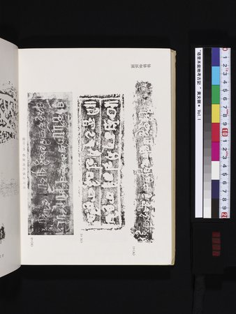 塔里木盆地考古記 : vol.1 : Page 334
