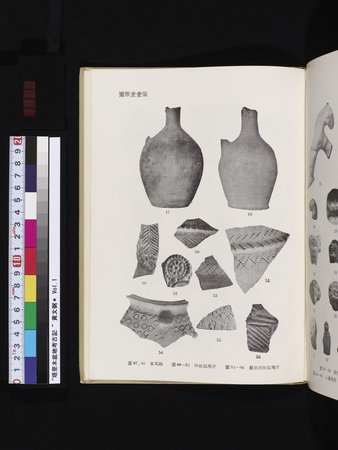 塔里木盆地考古記 : vol.1 : Page 361