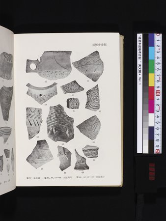 塔里木盆地考古記 : vol.1 : Page 362