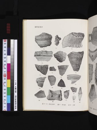 塔里木盆地考古記 : vol.1 : Page 363