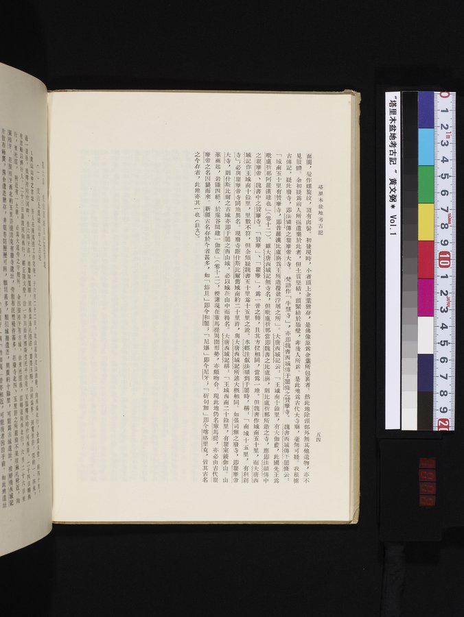 塔里木盆地考古記 : vol.1 / 78 ページ（カラー画像）