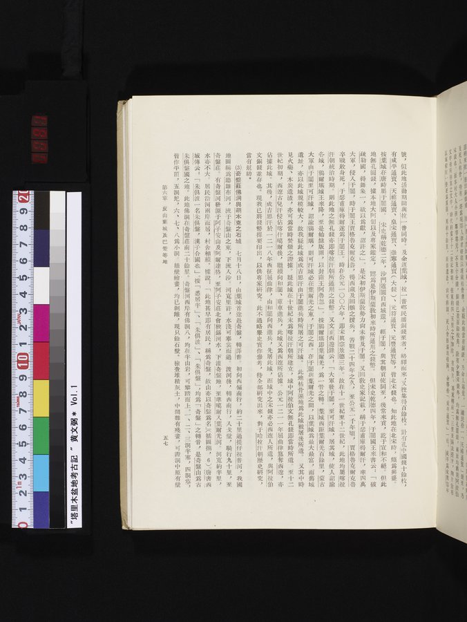 塔里木盆地考古記 : vol.1 / 81 ページ（カラー画像）