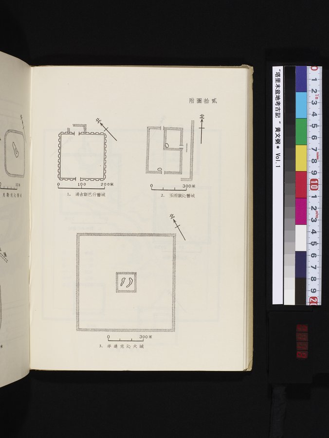 塔里木盆地考古記 : vol.1 / Page 118 (Color Image)