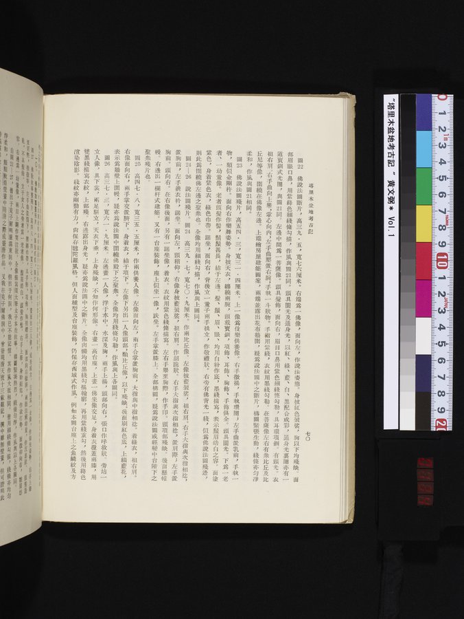 塔里木盆地考古記 : vol.1 / 134 ページ（カラー画像）