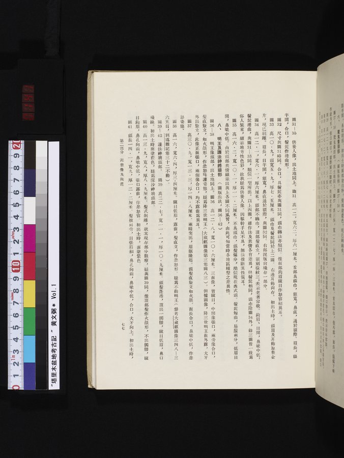 塔里木盆地考古記 : vol.1 / 141 ページ（カラー画像）