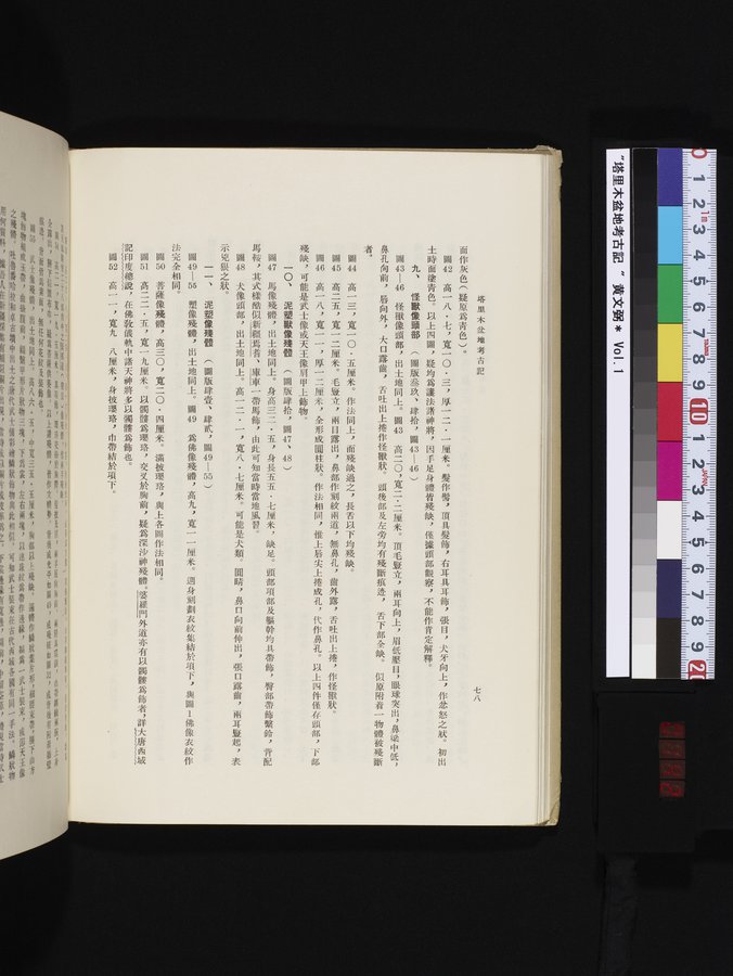 塔里木盆地考古記 : vol.1 / Page 142 (Color Image)