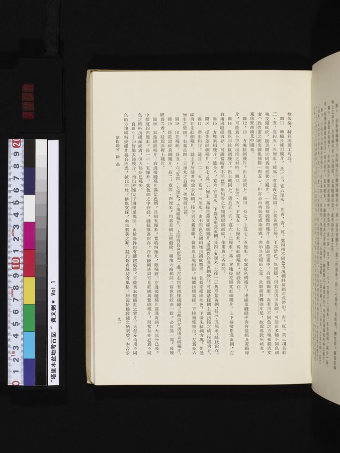 塔里木盆地考古記 : vol.1 / 155 ページ（カラー画像）