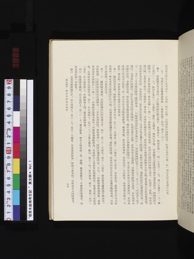 塔里木盆地考古記 : vol.1 / 161 ページ（カラー画像）