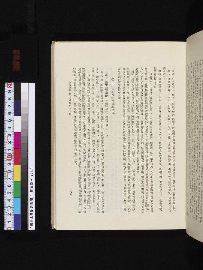 塔里木盆地考古記 : vol.1 / 163 ページ（カラー画像）