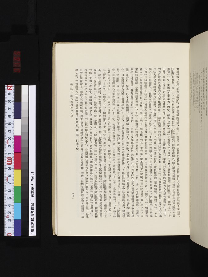 塔里木盆地考古記 : vol.1 / 165 ページ（カラー画像）