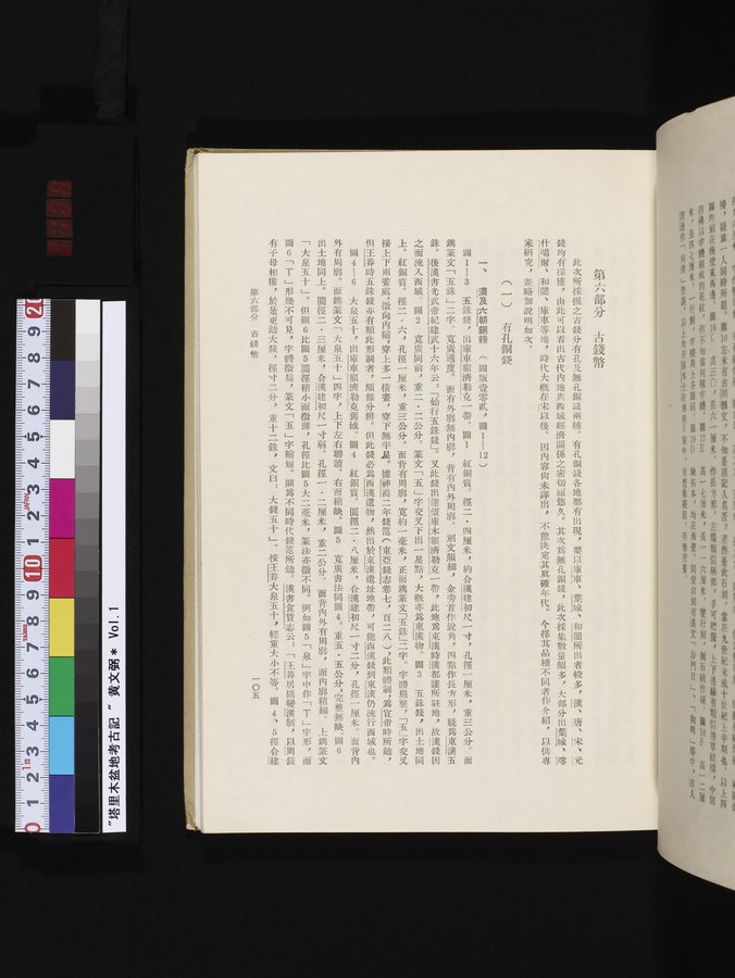 塔里木盆地考古記 : vol.1 / 169 ページ（カラー画像）