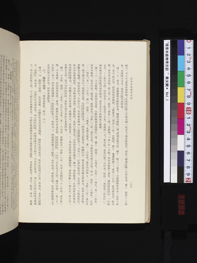 塔里木盆地考古記 : vol.1 / 170 ページ（カラー画像）