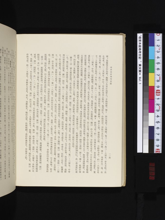 塔里木盆地考古記 : vol.1 / 178 ページ（カラー画像）
