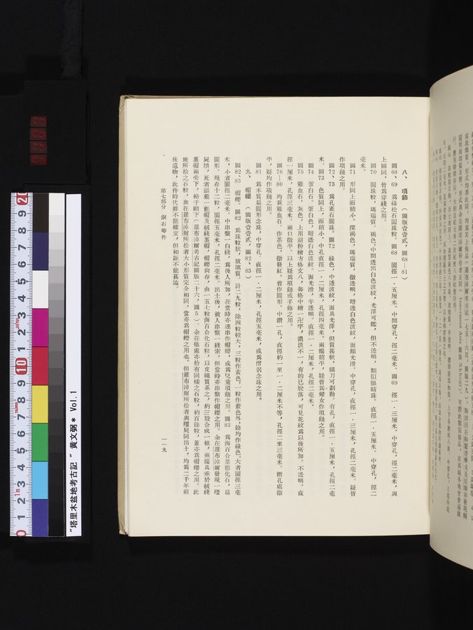 塔里木盆地考古記 : vol.1 / 183 ページ（カラー画像）