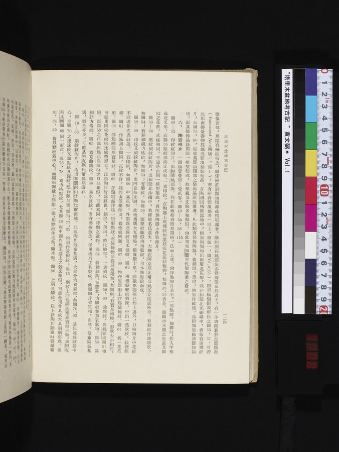 塔里木盆地考古記 : vol.1 / 188 ページ（カラー画像）