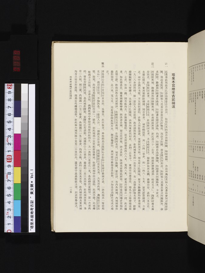塔里木盆地考古記 : vol.1 / 199 ページ（カラー画像）