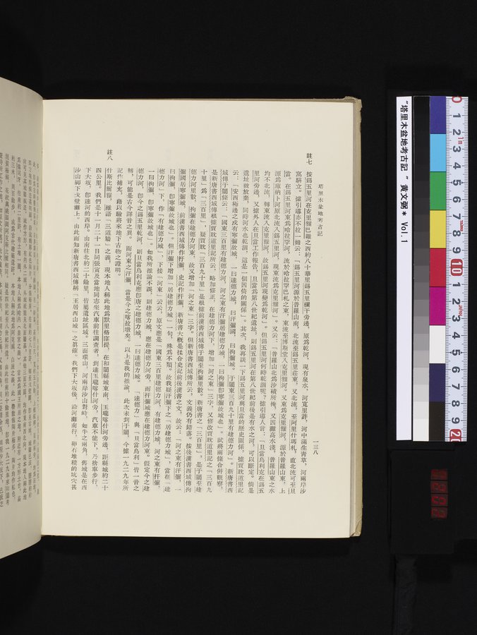 塔里木盆地考古記 : vol.1 / 202 ページ（カラー画像）