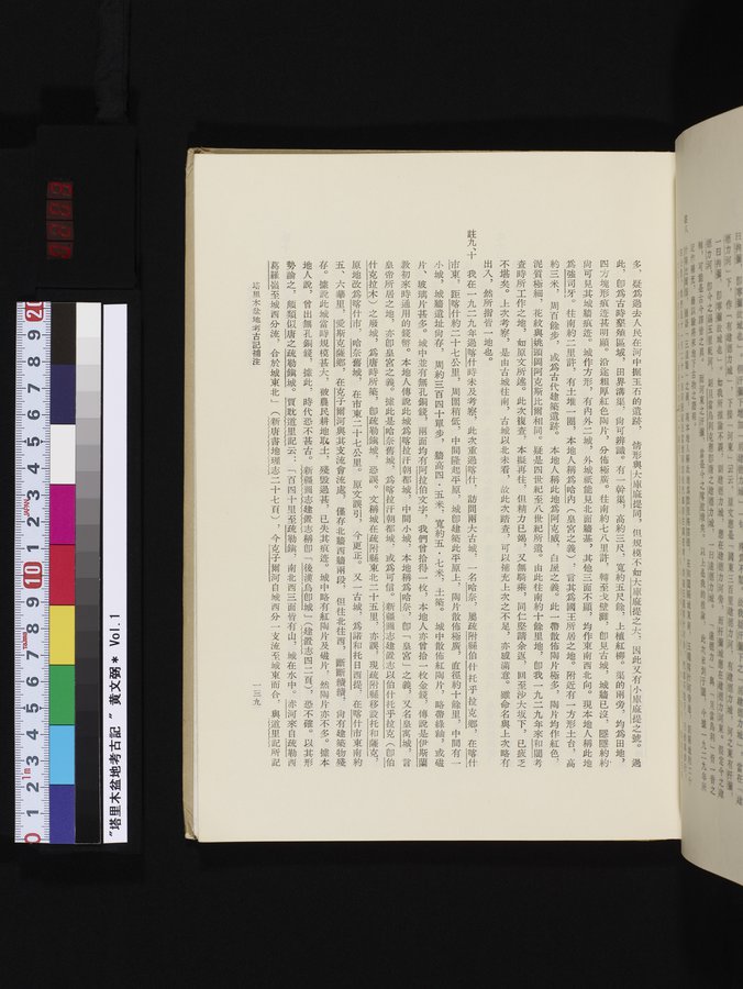 塔里木盆地考古記 : vol.1 / 203 ページ（カラー画像）