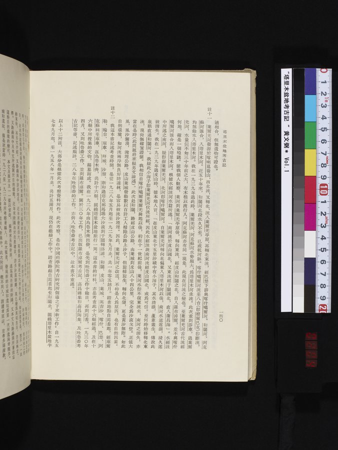 塔里木盆地考古記 : vol.1 / 204 ページ（カラー画像）
