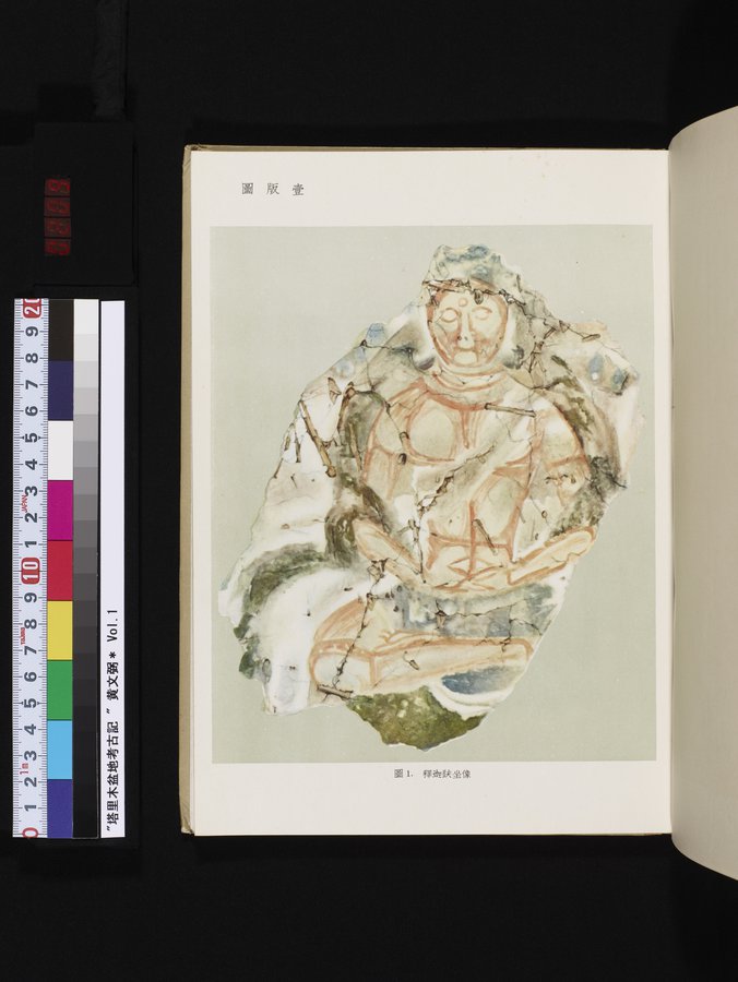 塔里木盆地考古記 : vol.1 / Page 209 (Color Image)