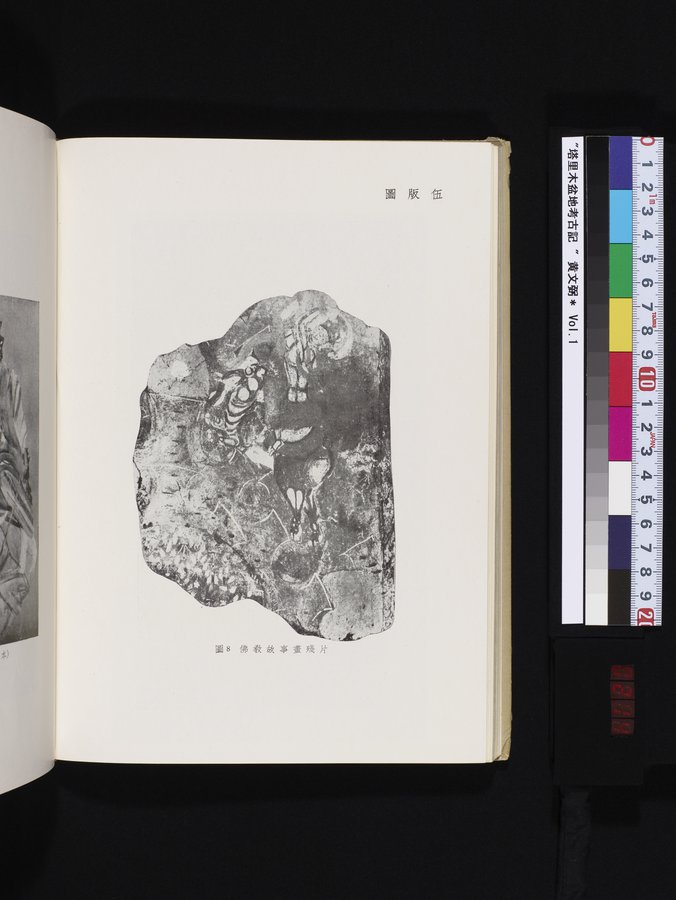 塔里木盆地考古記 : vol.1 / 214 ページ（カラー画像）
