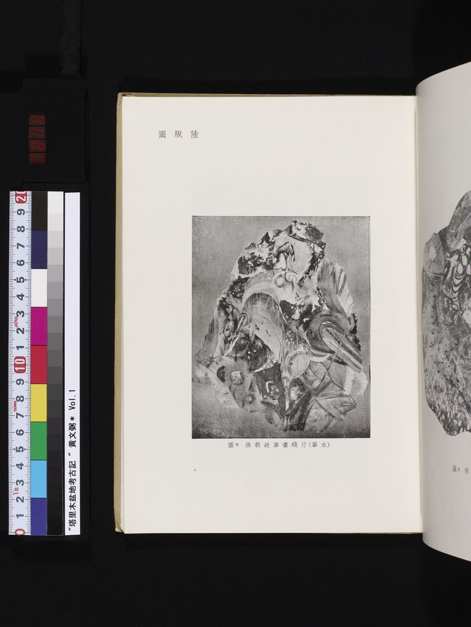 塔里木盆地考古記 : vol.1 / 215 ページ（カラー画像）