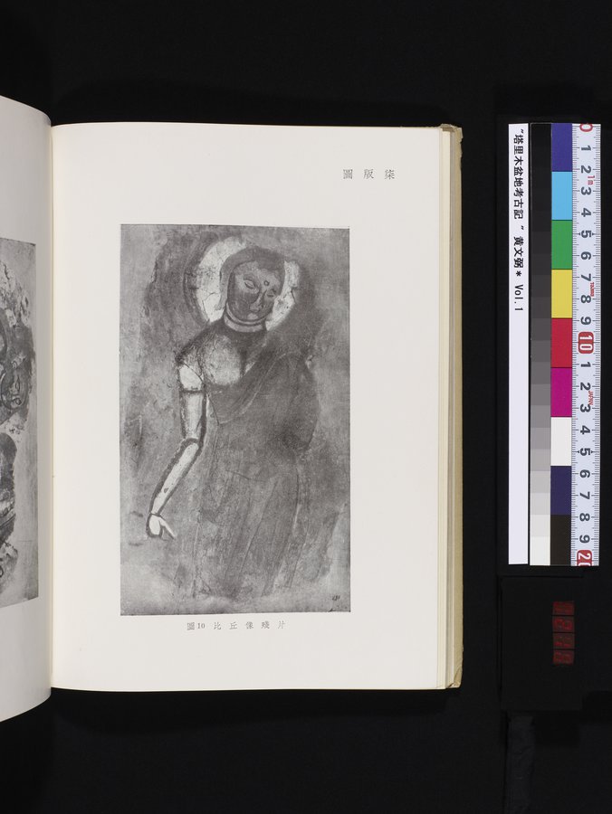 塔里木盆地考古記 : vol.1 / 216 ページ（カラー画像）