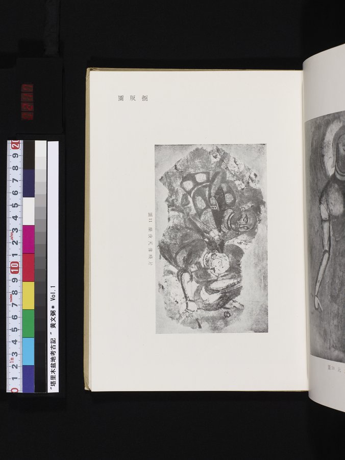 塔里木盆地考古記 : vol.1 / 217 ページ（カラー画像）